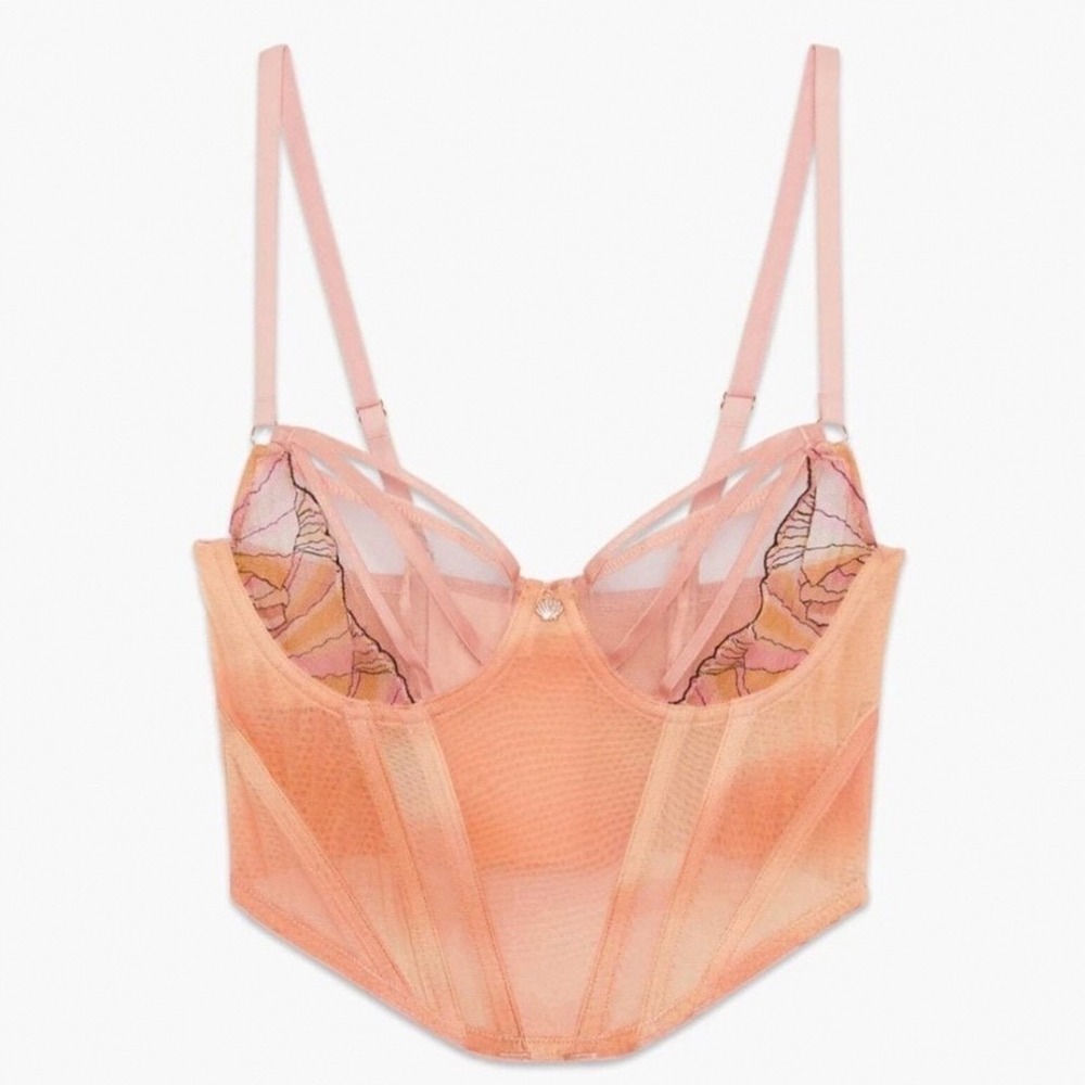 Savage X Fenty Sunset Marble Embroidered Corset Top Orange Pink Large NWT